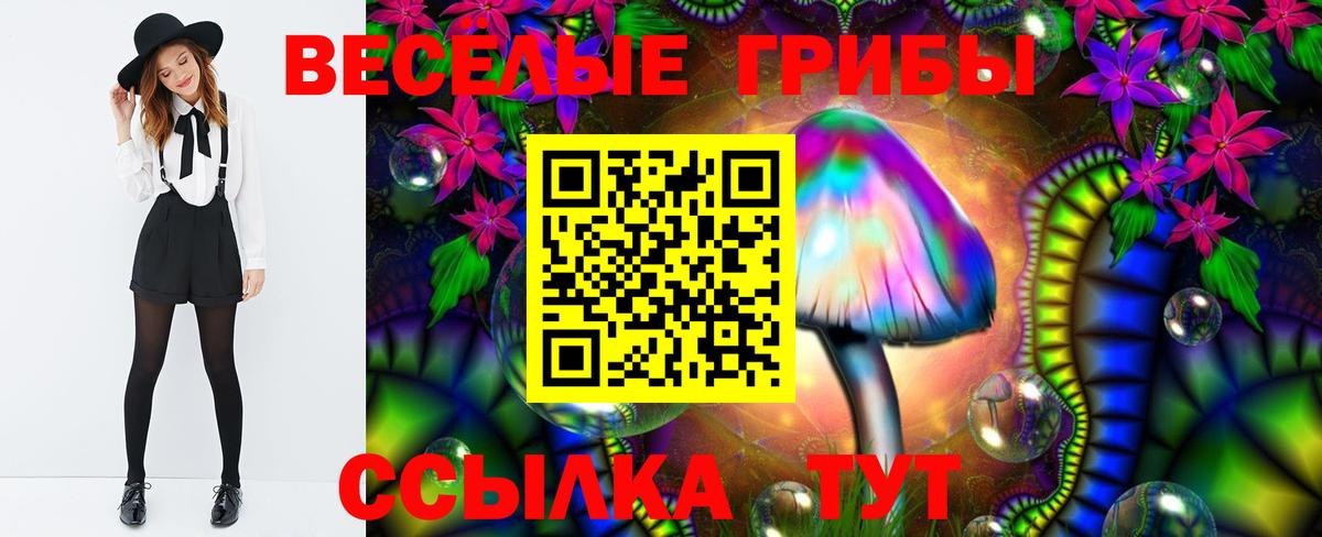 Дивногорск  Псилоцибиновые грибы Psilocybe  Вход с VPN 