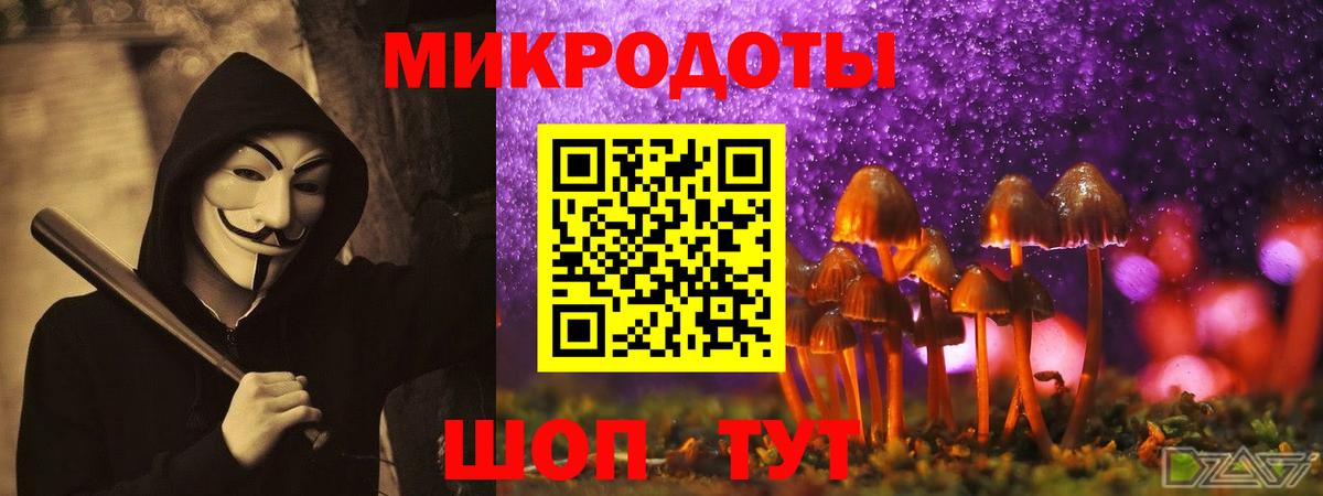 Псилоцибиновые грибы Psilocybe Дивногорск